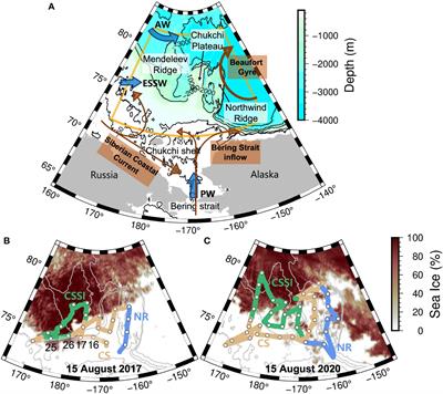 Summer net community production in the northern Chukchi Sea: Comparison between 2017 and 2020